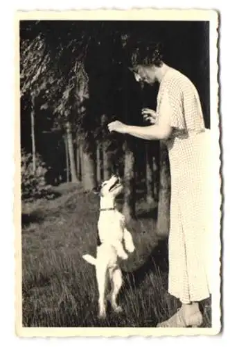 Fotografie unbekannter Fotograf und Ort, Frauchen gibt ihrem Terrier Leckerchen, Hund macht Männchen