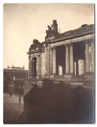 6 Fotografien Ansicht Berlin, Klosterstrasse mit Parochialkirche, Dt. Historisches Museum Löwenkämpfer Statue Lustgarten