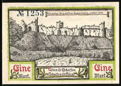 Notgeld Soldin 1921, 1 Mark, Stadtansicht mit Kirche und Stadtmauer, Seriennummer 1253