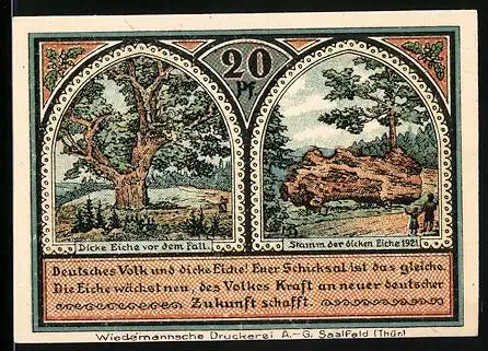 Notgeld Roda bei Ilmenau 1921, 20 Pfennig, Eichenbaum und Dorflandschaft