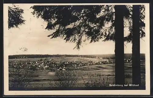 AK Schömberg / Wildbad, Totalansicht