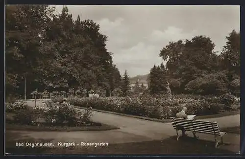 AK Bad Oeynhausen, Rosengarten im Kurpark