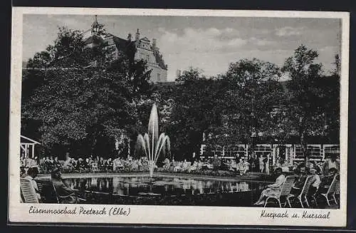 AK Pretzsch / Elbe, Kurpark mit Kursaal