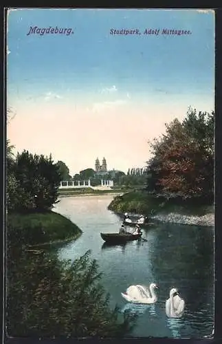 AK Magdeburg, Stadtpark, Adolf Mittagsee, Ruderboote, Schwäne