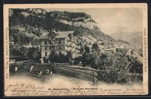 AK St. Beatenberg, Dorf mit Birnefluh