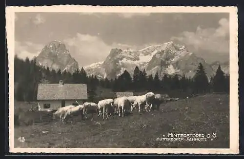 AK Hinterstoder /Oberösterreich, Hutterboden-Almhütte