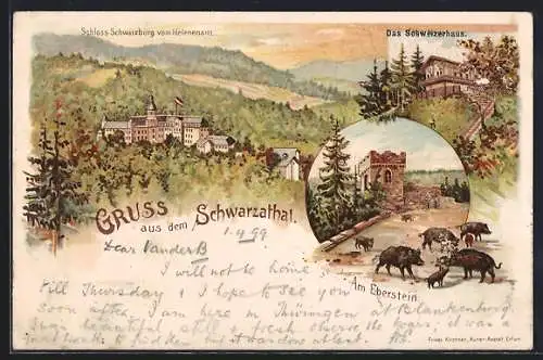 Lithographie Schwarzatal, Das Schweizerhaus, Schloss Schwarzburg vom Helenensitz, Am Eberstein