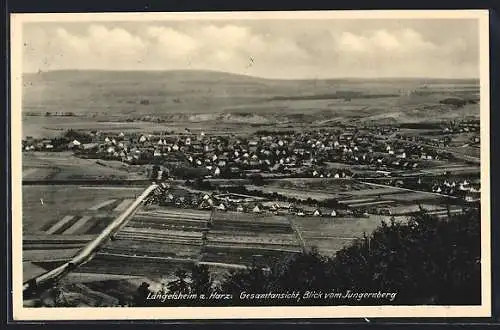 AK Langelsheim / Harz, Blick vom Jungernberg, Panorama