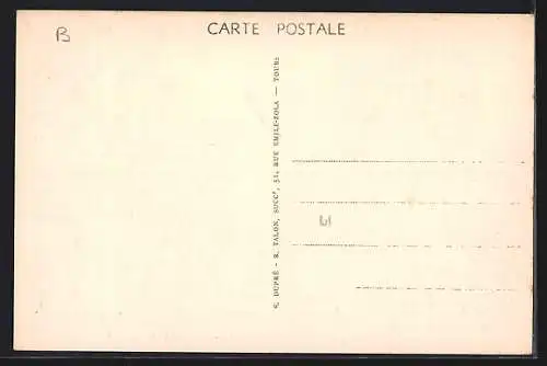 AK Bourgueil /I.-et-L., le Picard, Villa Mathilde