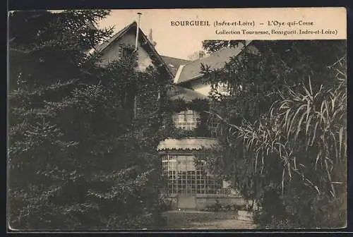 AK Bourgueil /I.-et-L., l`Oye-qui-Cosse