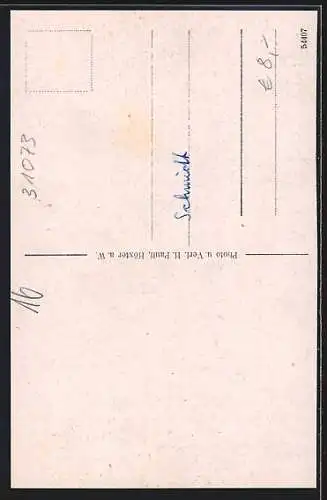 AK Grünenplan, Wilhelm-Raabe-Strasse mit Fachwerkhaus