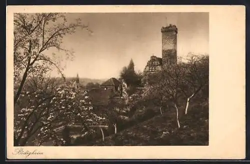 AK Bödigheim, Teilansicht mit Turm