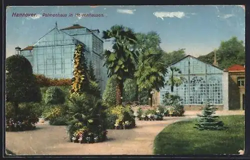 AK Hannover, Herrenhausen, Palmenhaus