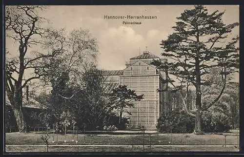 AK Hannover-Herrenhausen, Palmenhaus