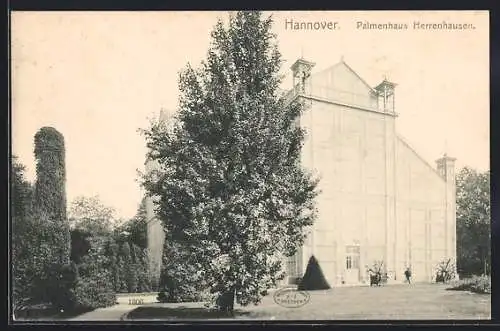 AK Hannover, Herrenhausen, Palmenhaus