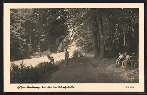 AK Essen-Bredeney, Bei der Wolfsbachquelle