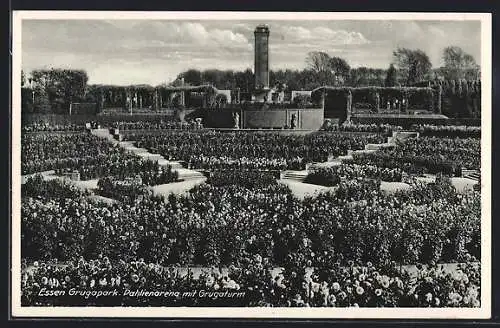 AK Essen, Grugapark, Dahlienarena mit Grugaturm