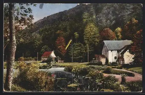 AK Stempfermühle /Fränkische Schweiz, Uferpartie am Waldrand