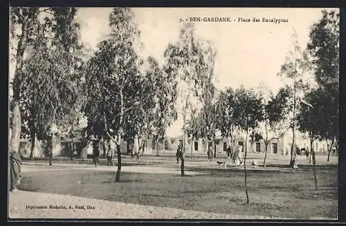 AK Ben-Gardane, Place des Eucalyptus