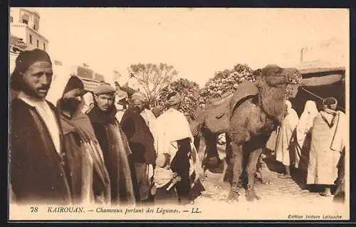 AK Kairouan, Chameaux portant des Légumes