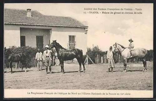 AK Saadia, Maison du gérant et chevaux de selle