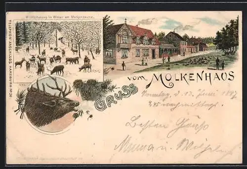 Lithographie Bad Harzburg, Gasthof Molkenhaus und Wildfütterung im Winter