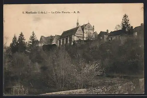 AK Montlouis /I.-et-L., La Cote Fleurie