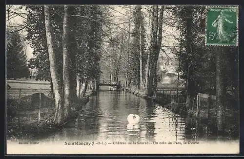 AK Semblancay /I.-et-L., Chateau de la Source, un coin du Parc, la Douve