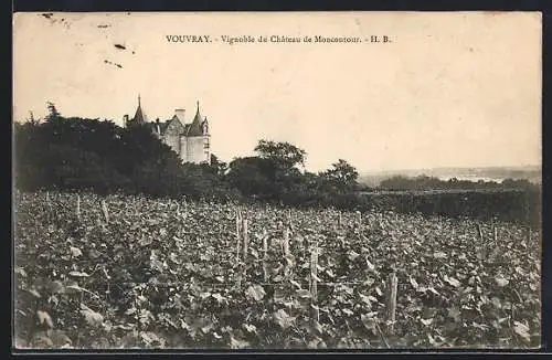 AK Vouvray /I.-et-L., Vignoble du Chateau de Moncontour