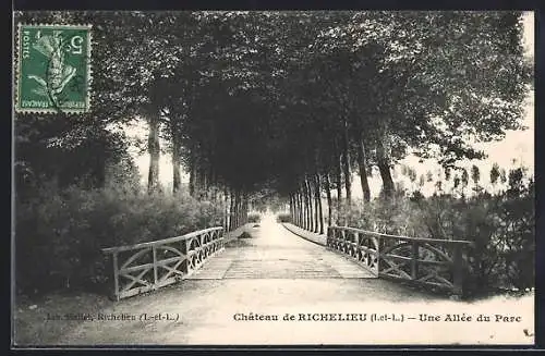 AK Richelieu /I.-et-L., Une Allée du Parc du Chateau