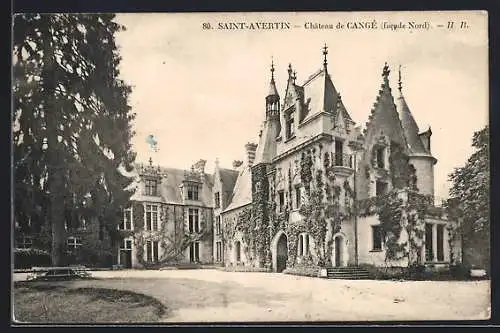 AK Saint-Avertin /I.-et-L., Chateau de Cangé, facade Nord