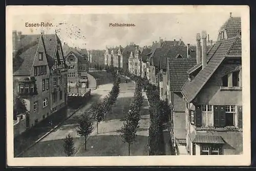 AK Essen-Ruhr, Moltkestrasse aus der Vogelschau
