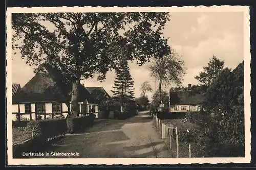 AK Steinbergholz, Dorfstrasse, Reetdachhäuser