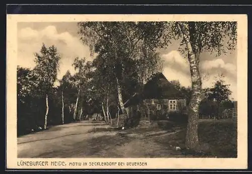 AK Secklendorf bei Beuensen / Lüneburger Heide, Ortspartie