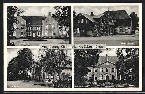 AK Vogelsang-Grünholz, Das Gut Damp, Geschäftshaus, Schule, Gut Grünholz