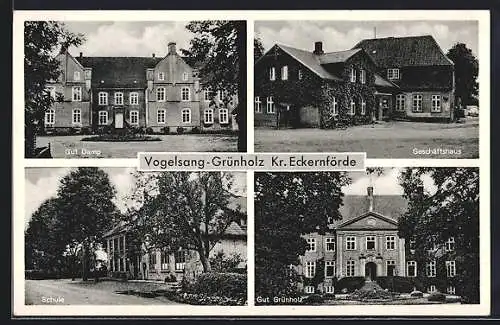 AK Vogelsang-Grünholz /Eckernförde, Gut Damp, Geschäftshaus, Schule, Gute Grünholz