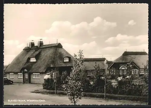 AK Wiesmoor, Gasthaus Blauer Fasan