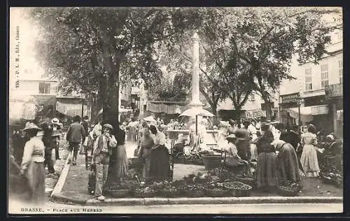 AK Grasse /A.-M., Place aux Herbes