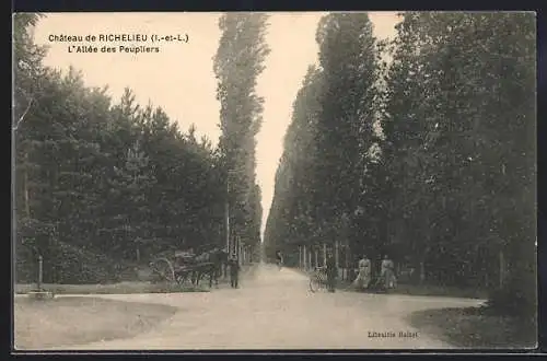 AK Richelieu /I.-et-L., Le Chateau, L`Allée des Peupliers