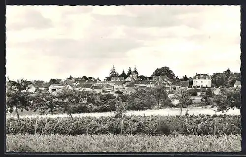 AK Rilly-sur-Vienne, Vue generale