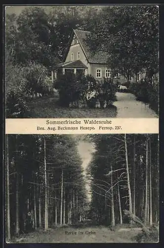 AK Hesepe / Bramsche, Gasthaus Waldesruhe, Partie im Gehn