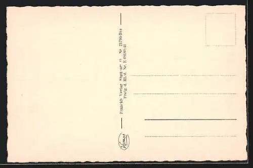 AK Tailfingen / Württ., Panorama