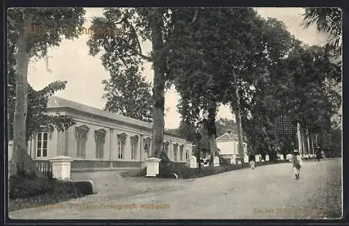 AK Buitenzorg, Zoölogisch, Phytopathologisch museum