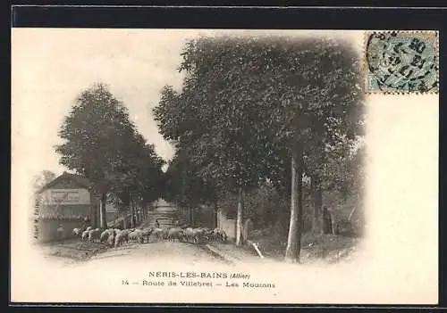 AK Néris-les-Bains /Allier, Route de Villebret, Les Moutons