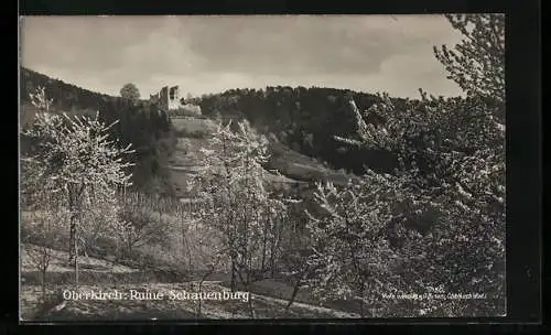 AK Oberkirch / Baden, Ruine Schauenburg