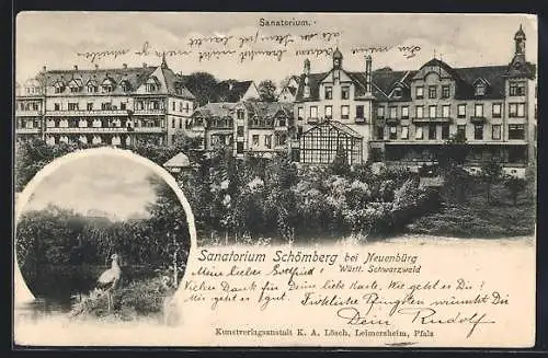 AK Schömberg bei Neuenbürg, Blick auf das Sanatorium