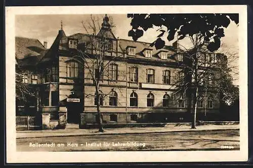 AK Ballenstedt, Institut für Lehrerbildung