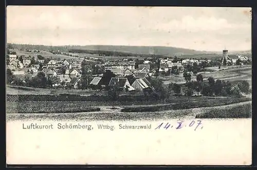 AK Schömberg / Schwarzwald, Teilansicht mit Kirche