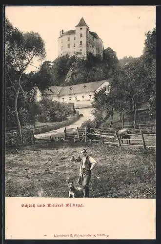 AK Wildegg, Schloss und Meierei