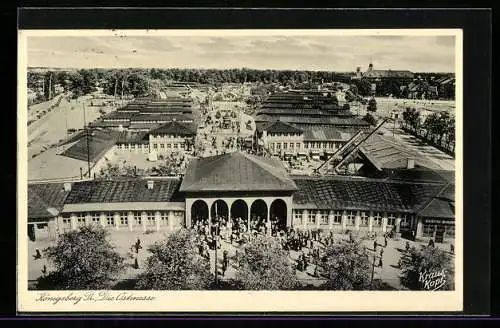 AK Königsberg, Ostmesse, Blick über das Ausstellungsgelände